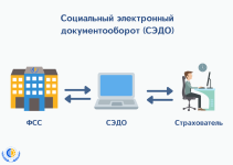 картинка Какие штрафы предусмотрены для работодателя в сфере СЭДО с ФСС России?