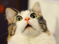 картинка 15 способов найти ошибки в 1С:БГУ с помощью стандартных отчетов. Часть 1