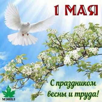 Картинка Поздравляем с праздником весны и труда!