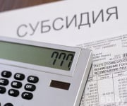 картинка Как правильно отражать начисление субсидий?