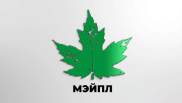 картинка Как изменить масштаб в программах 1С?